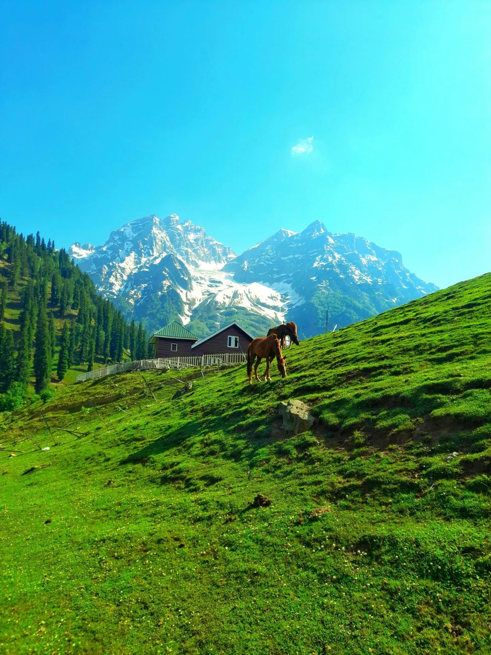 Sonamarg