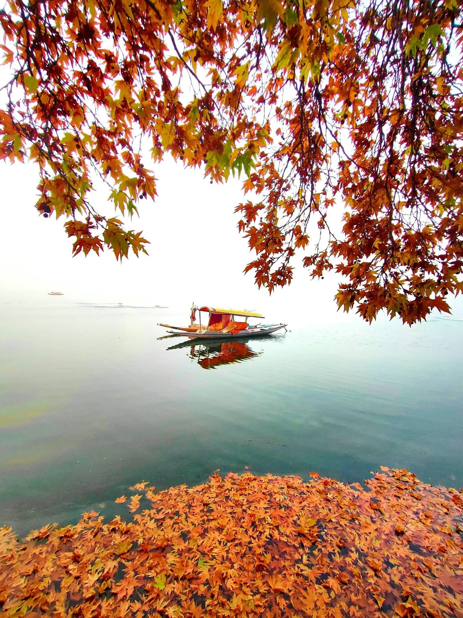 Srinagar